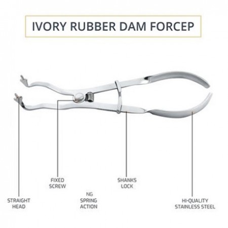 Elite Rubber Dam Clamping Plier Forcep, Ivory Lightweight, Per Unit