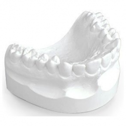 Dental White Plaster Type II